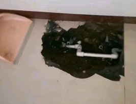 平川卫生间测漏水多少钱